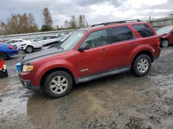  Salvage Mazda Tribute