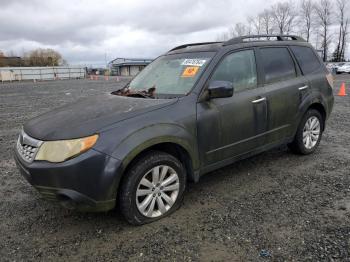  Salvage Subaru Forester