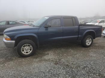  Salvage Dodge Dakota