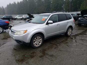  Salvage Subaru Forester