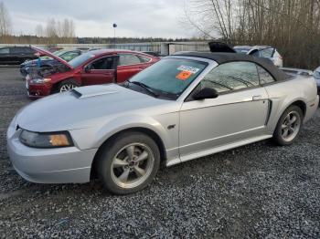  Salvage Ford Mustang