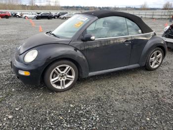  Salvage Volkswagen Beetle