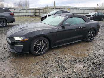  Salvage Ford Mustang