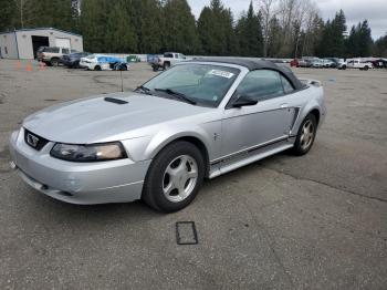  Salvage Ford Mustang