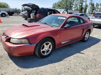  Salvage Ford Mustang