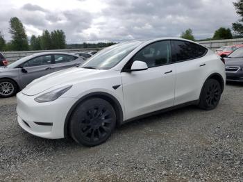  Salvage Tesla Model Y