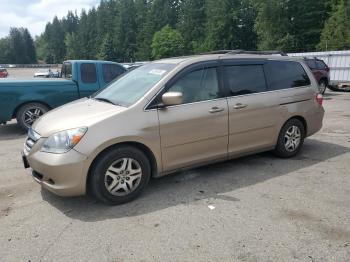  Salvage Honda Odyssey