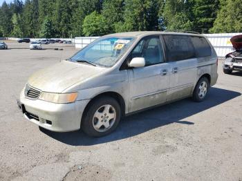 Salvage Honda Odyssey