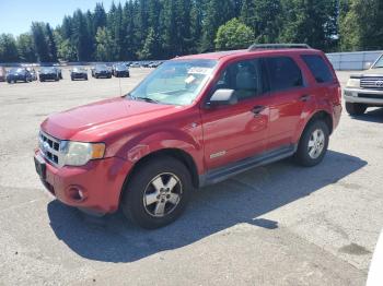  Salvage Ford Escape