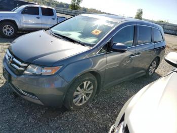  Salvage Honda Odyssey