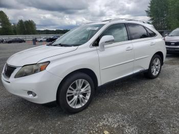  Salvage Lexus RX
