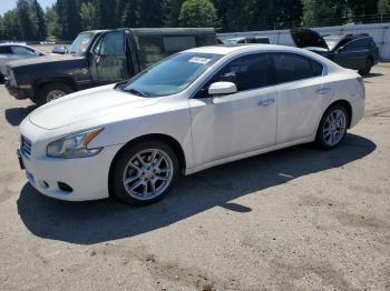  Salvage Nissan Maxima