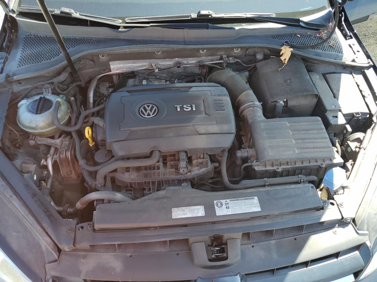 Volkswagen Golf S Image 10