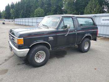  Salvage Ford Bronco