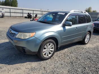  Salvage Subaru Forester