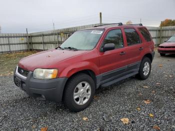  Salvage Ford Escape
