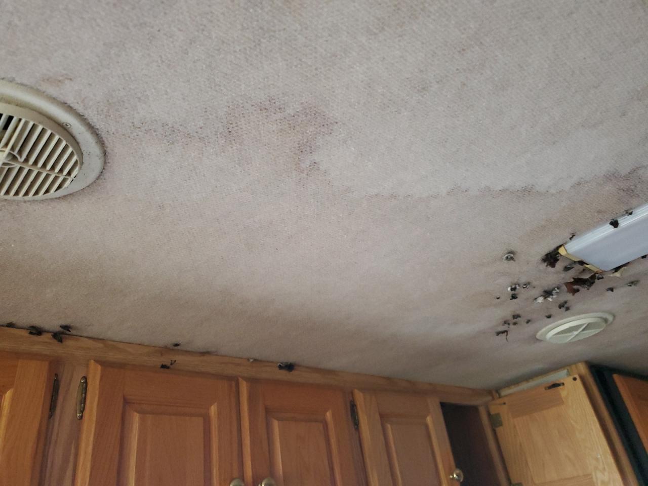 Roadmaster 40 Mh Image 8