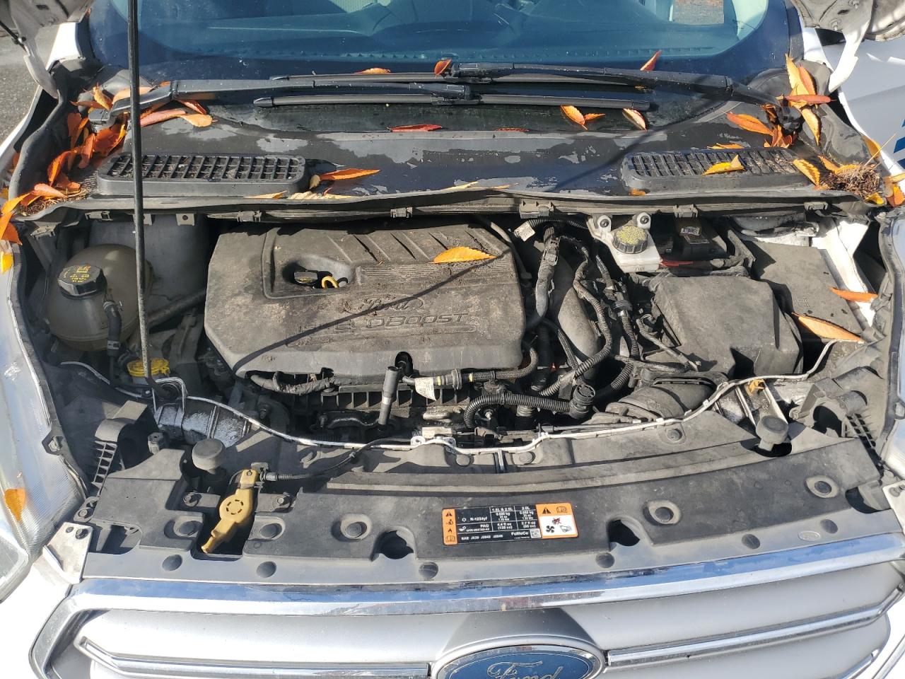 Ford Escape Se Image 12