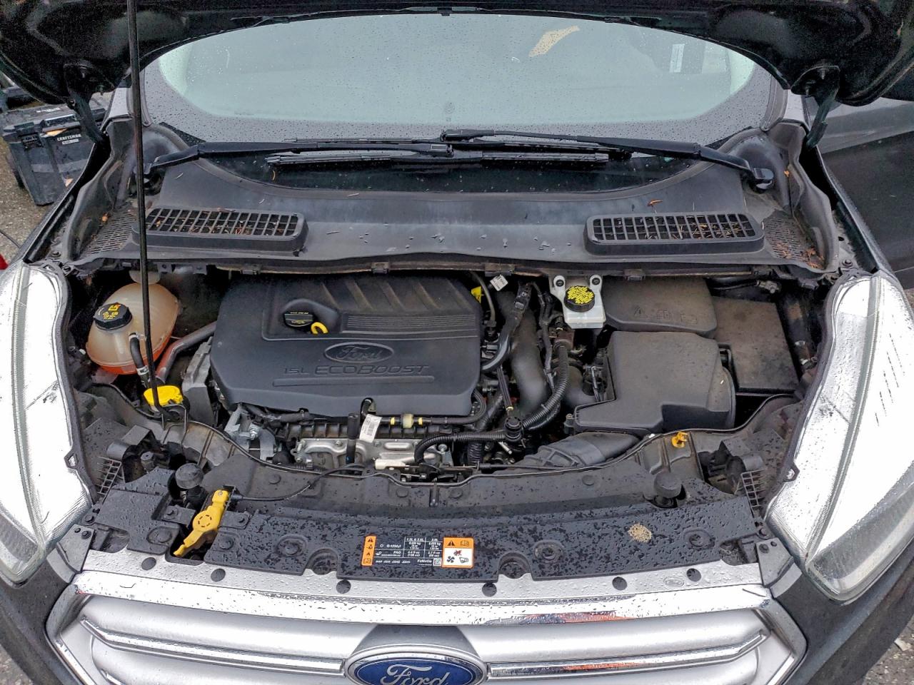 Ford Escape Se Image 11