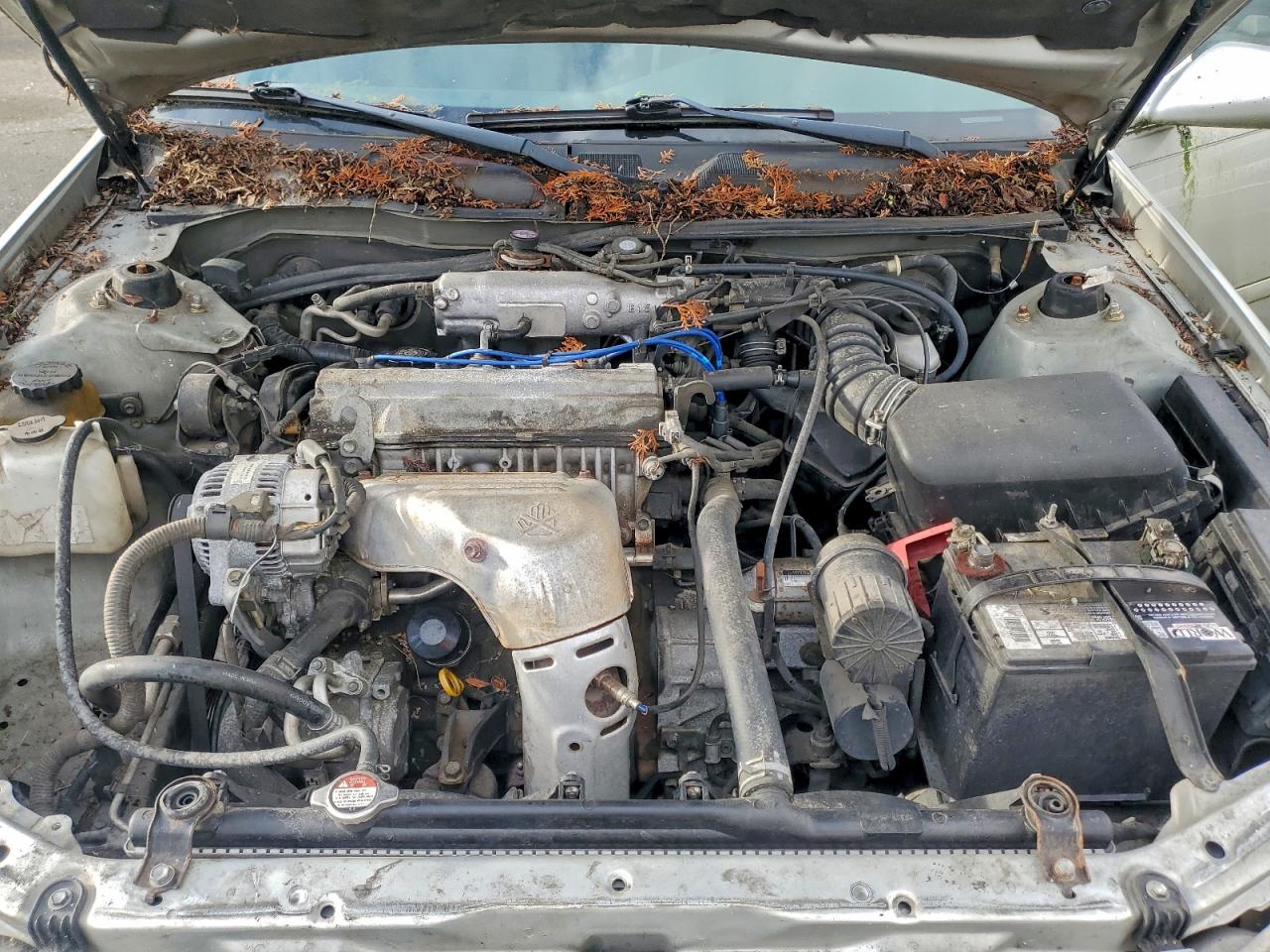 Toyota Camry Ce Image 8