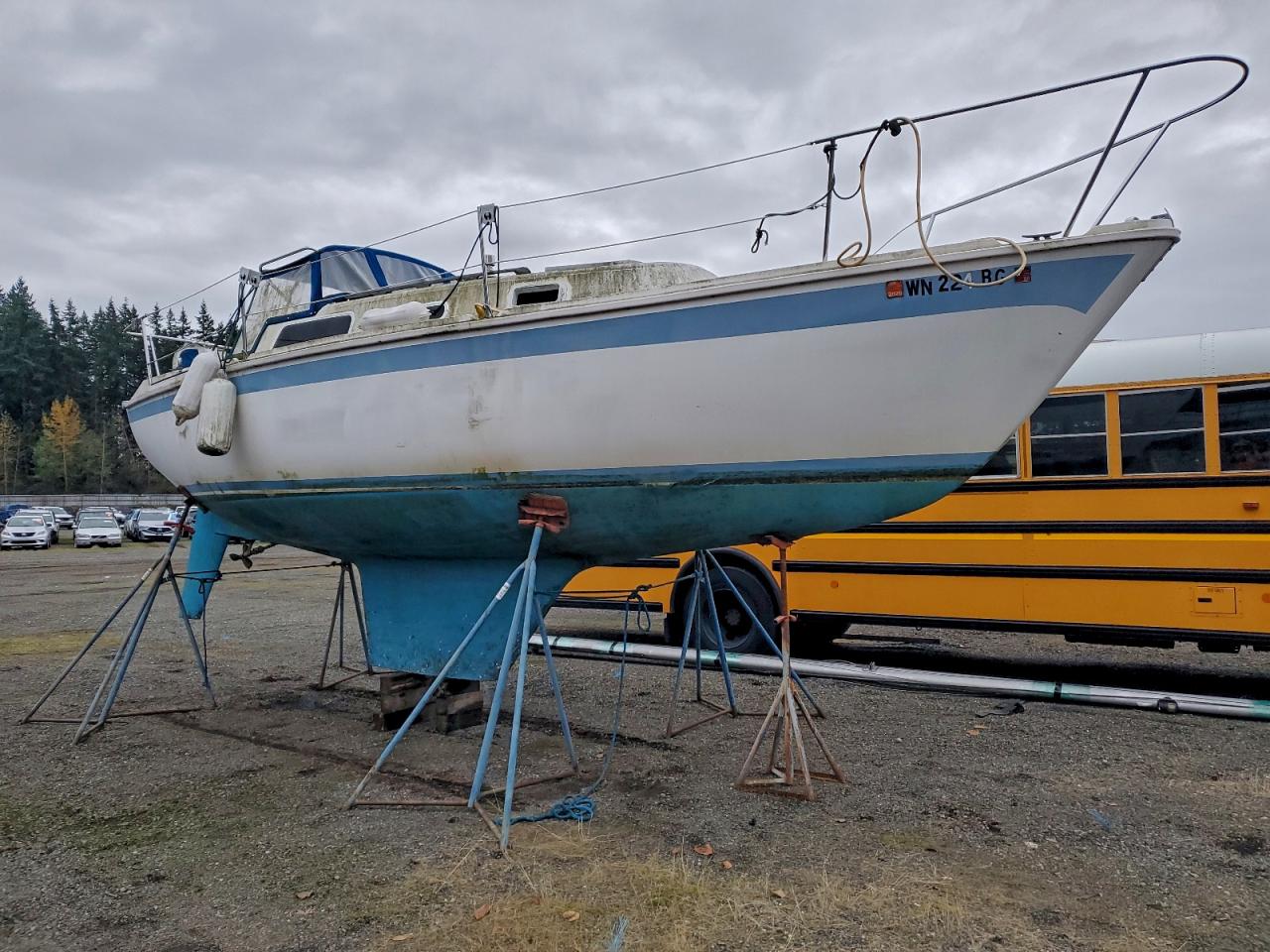 Dua Caljensen Image 1