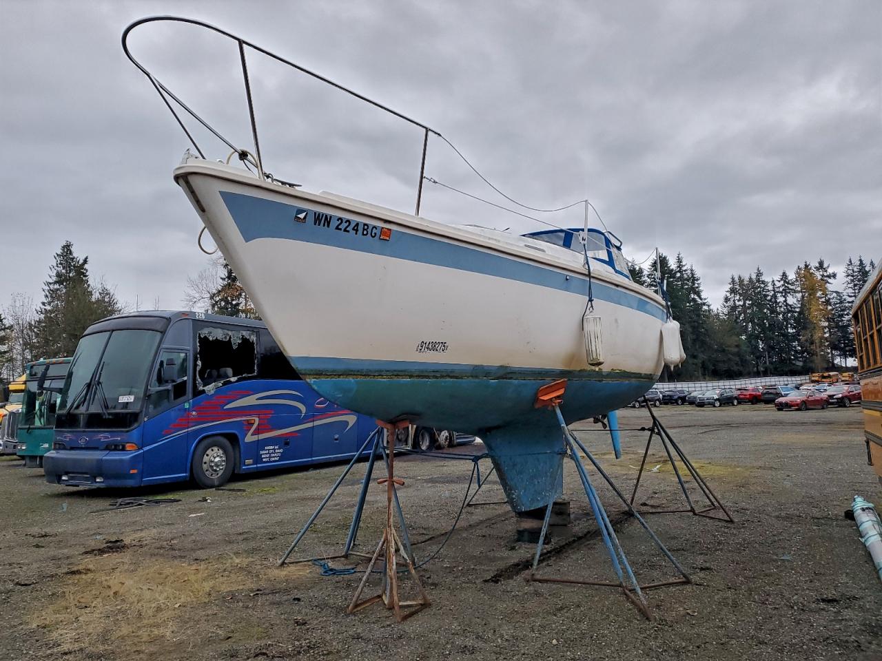 Dua Caljensen Image 7