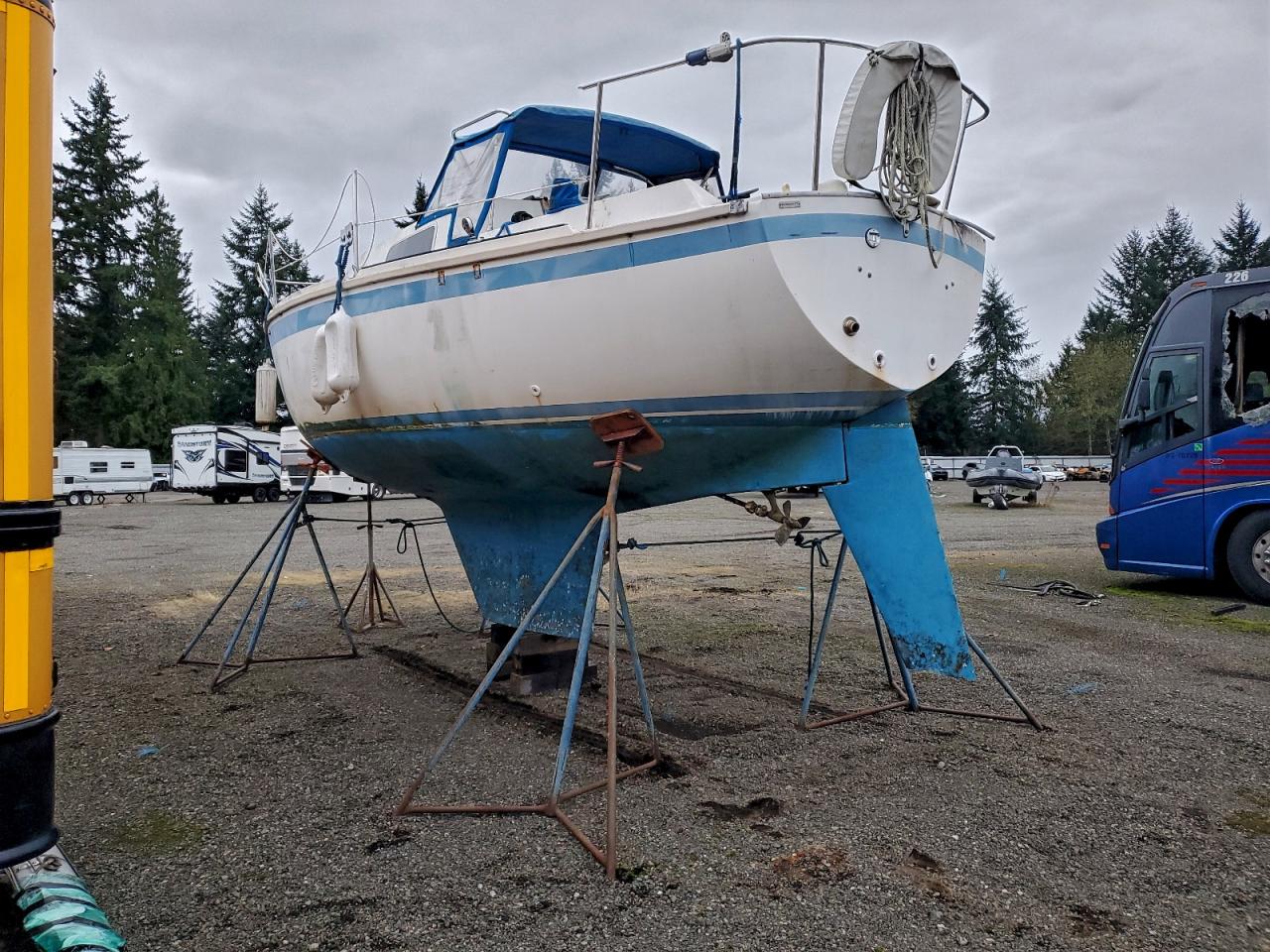 Dua Caljensen Image 5