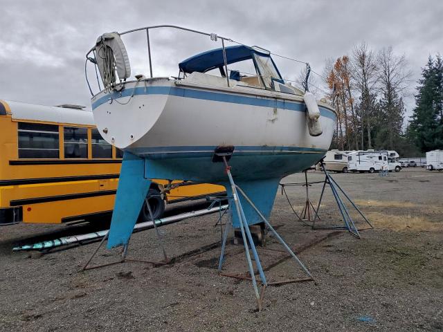 Dua Caljensen Image 3