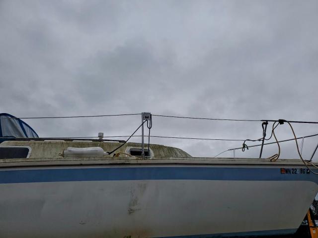 Dua Caljensen Image 4