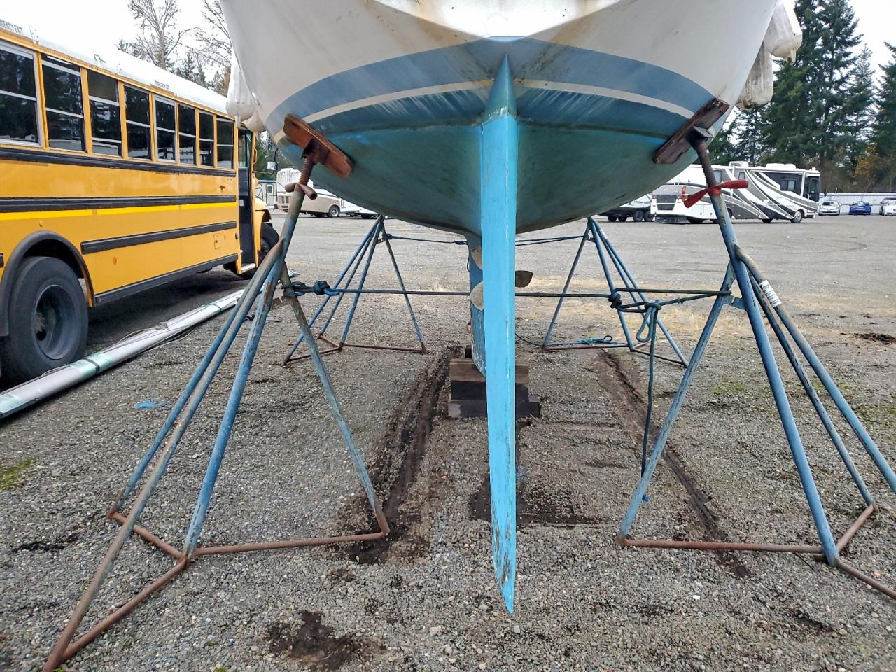 Dua Caljensen Image 10