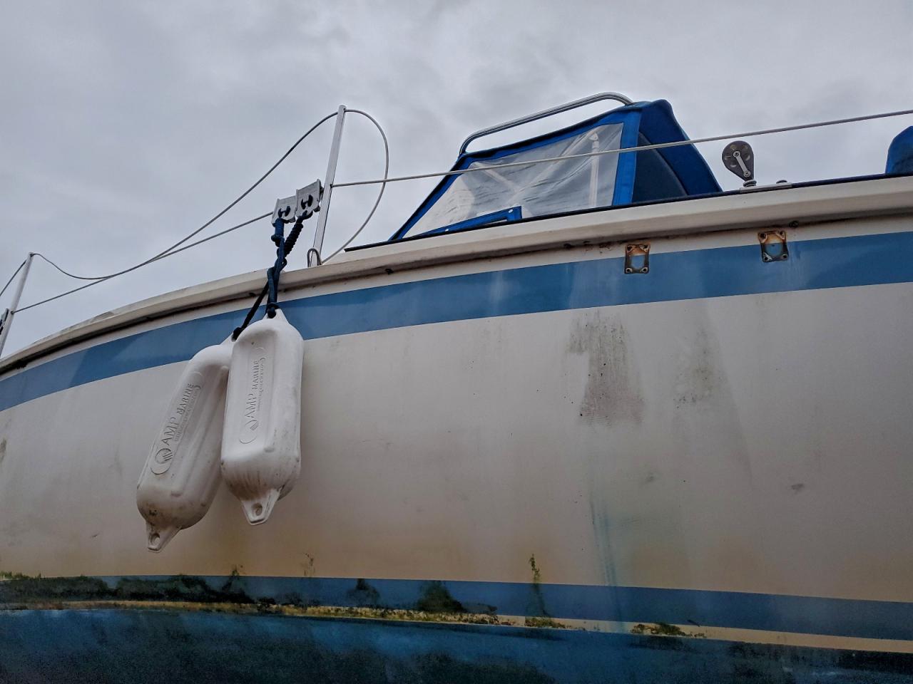 Dua Caljensen Image 8