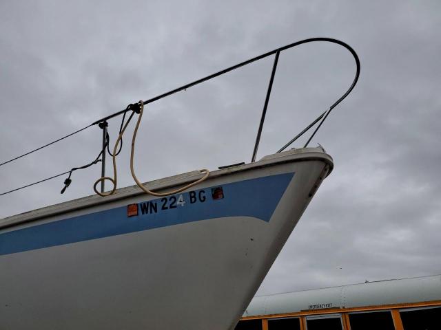 Dua Caljensen Image 9