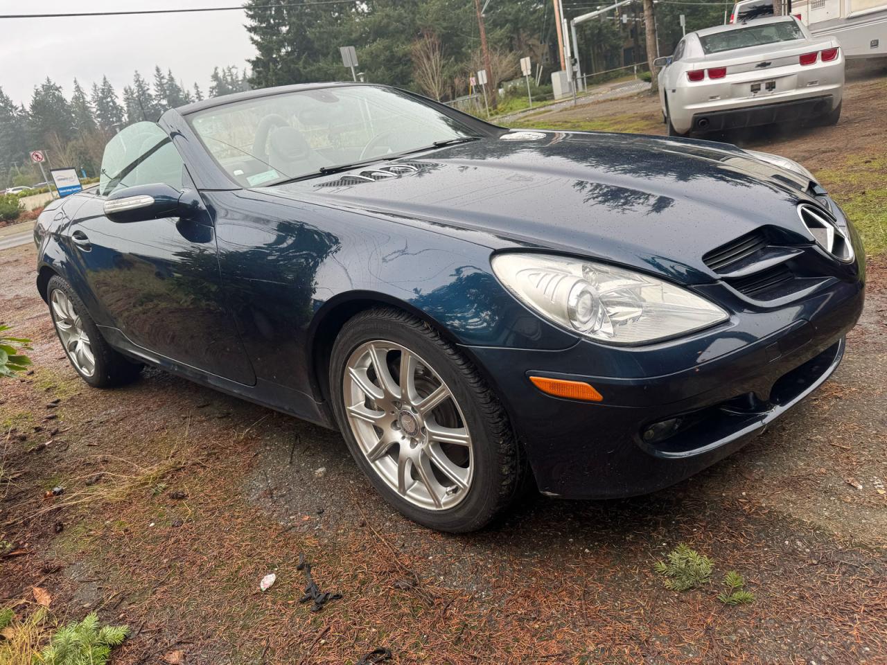 Mercedes-Benz Slk-class 350 Image 1