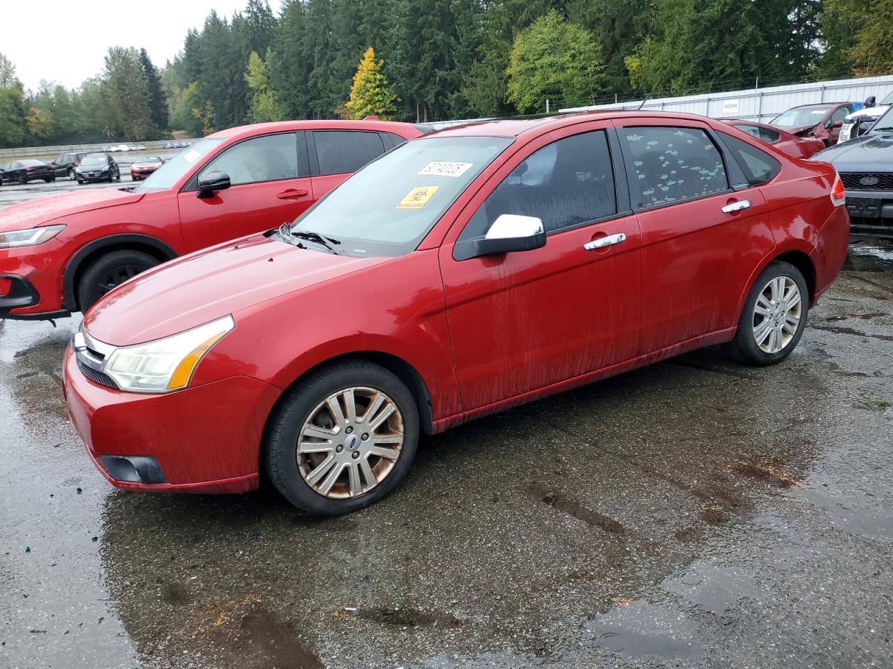 Ford Focus Sel Image 1