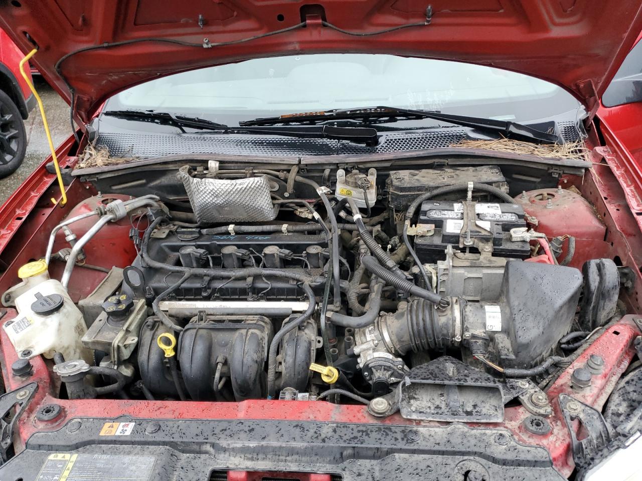 Ford Focus Sel Image 12