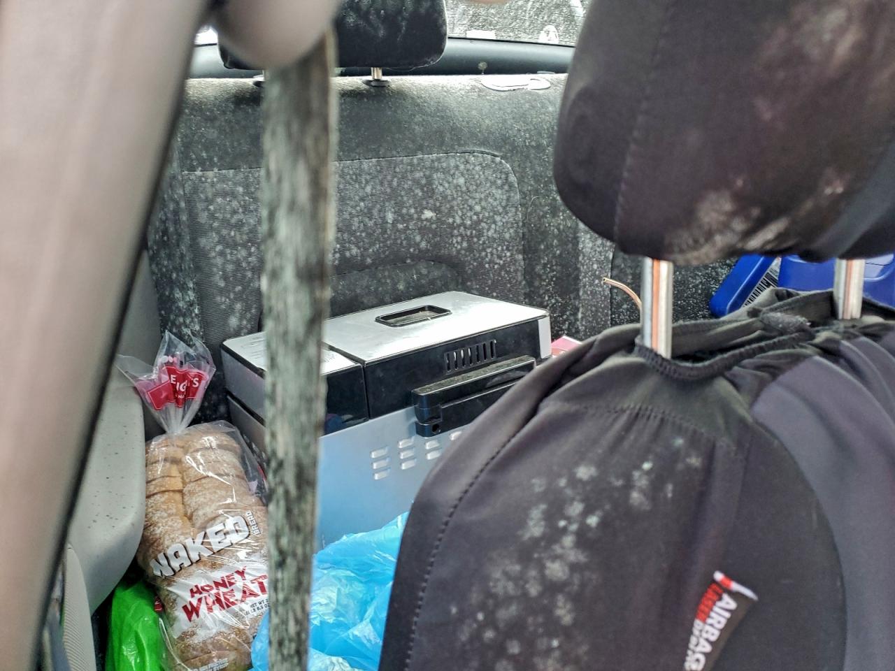 Volkswagen Beetle Gls Image 12