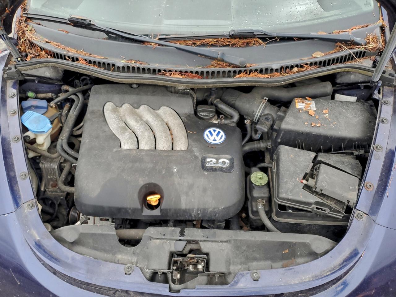 Volkswagen Beetle Gls Image 10