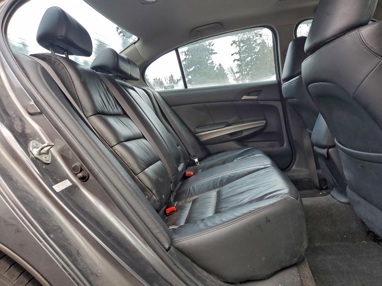 Honda Accord Exl Image 11