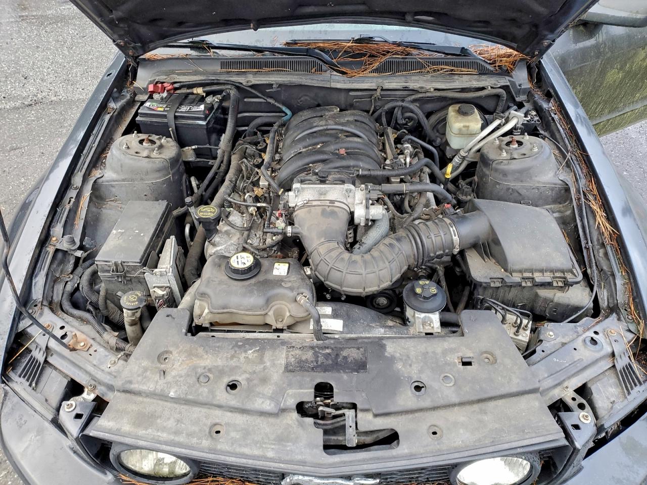 Ford Mustang Gt Image 2