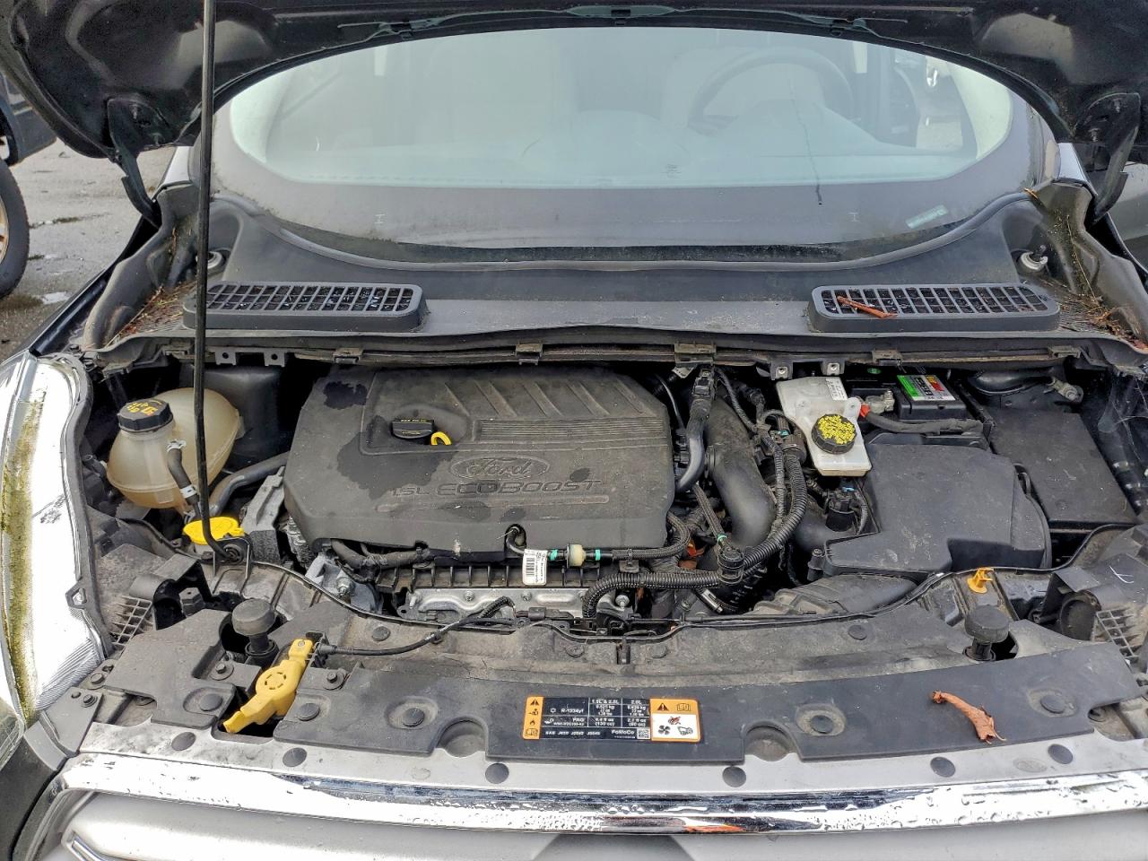 Ford Escape Se Image 12